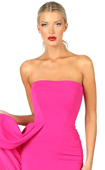 Strapless Fushia Gown sz 10 - Image 2