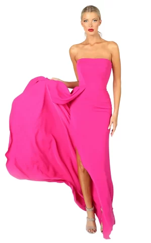 Strapless Fushia Gown