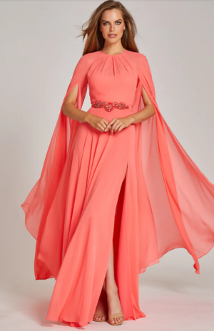 Alina Chiffon  Gown