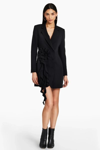 Parnell Blazer Dress - sz large