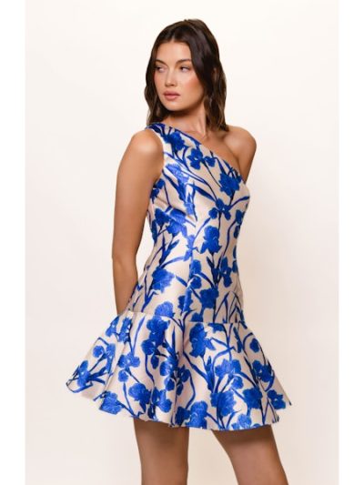 Silas Dress - Image 4