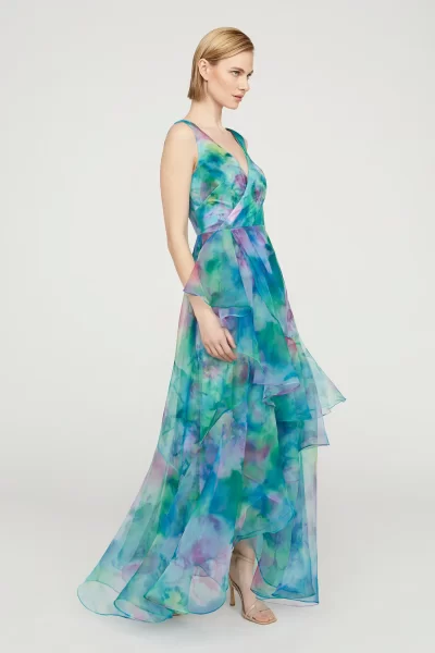 Karen Organza V Neck Gown - Image 5