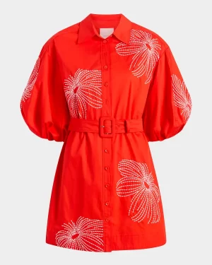 Rhea Sunburst Puff-Sleeve Mini Dress - Image 4