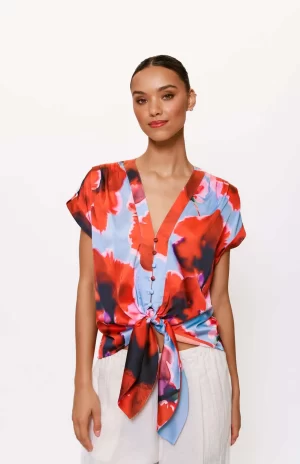 Ricci Top