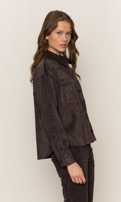 IVY SUEDE SHIRT - coming fall'25 - Image 3