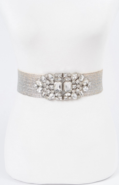 Multi Stone Metallic Belt in silver