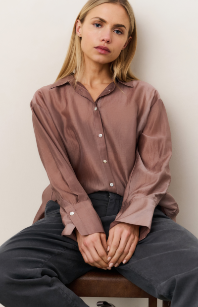 Desi Sheer blouse