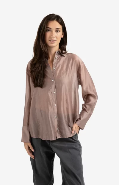 Desi Sheer blouse - Image 8