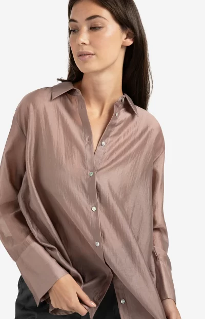 Desi Sheer blouse - Image 5