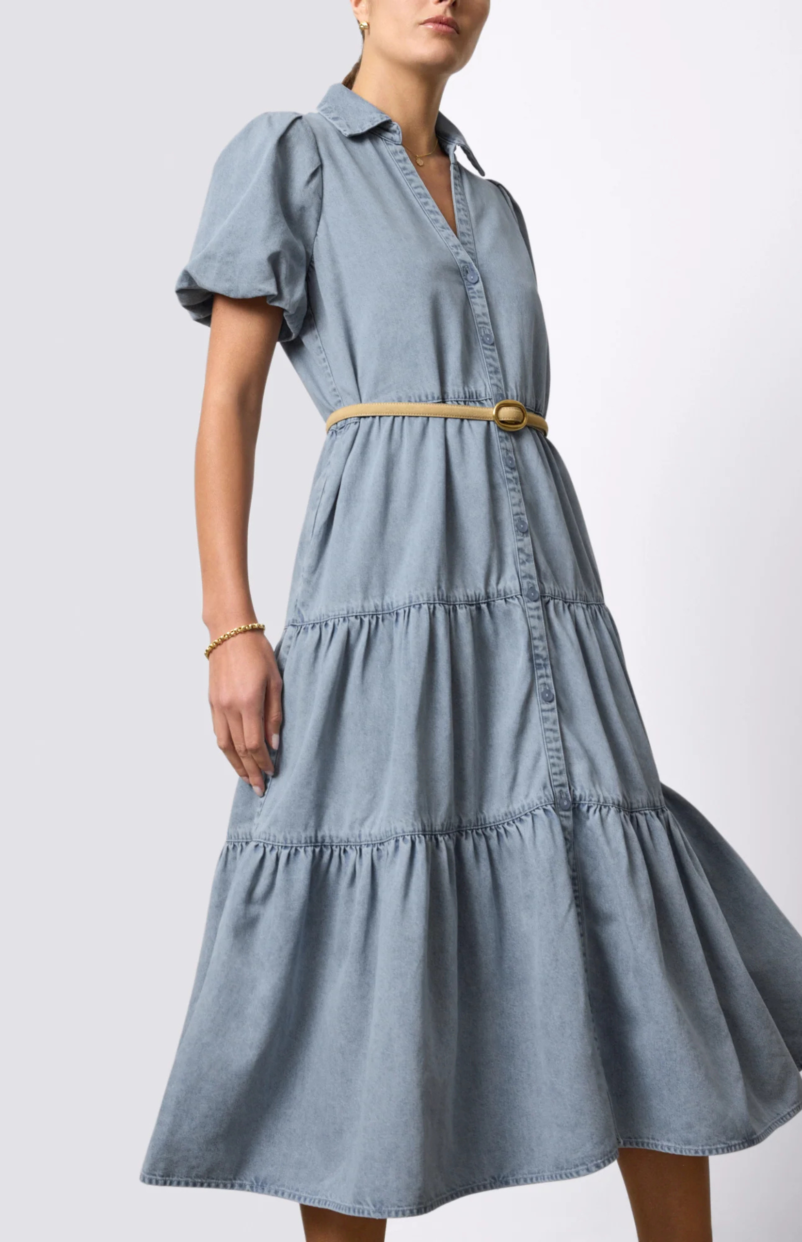 Havana Denim Dress